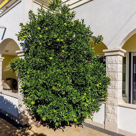 Apartments Palm Tree Трогир Экстерьер фото