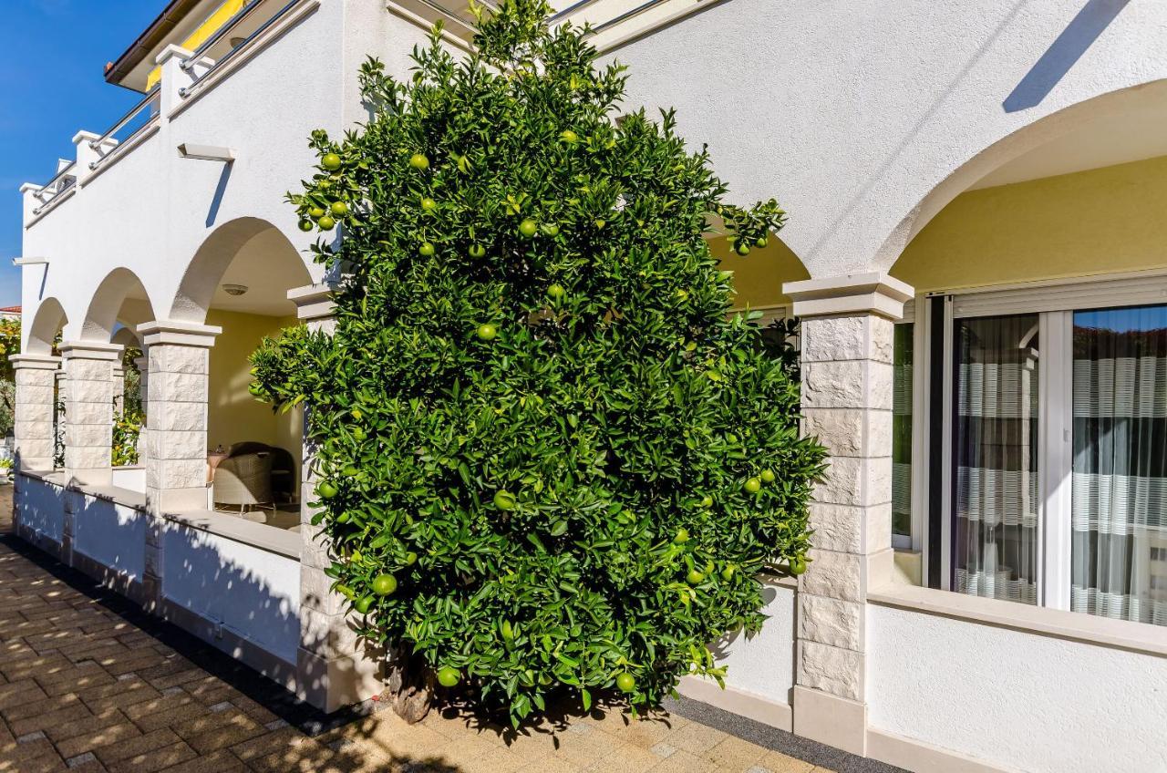 Apartments Palm Tree Трогир Экстерьер фото